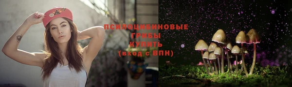 ешки Алексеевка