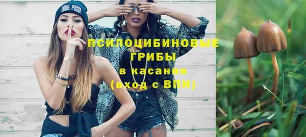 ешки Алексеевка