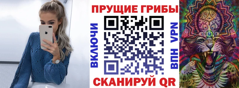 сколько стоит  Яровое  Псилоцибиновые грибы GOLDEN TEACHER 